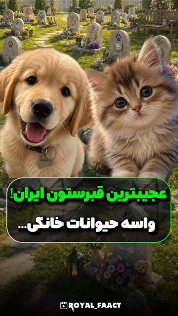 پست اینستاگرام Dc0VkVpovU_