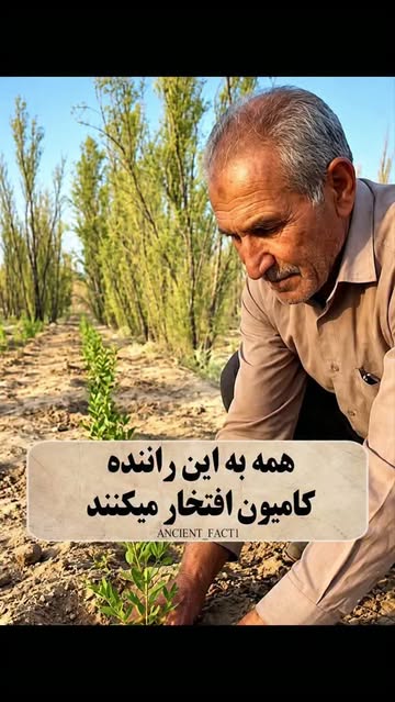 پست اینستاگرام Dc4BfUdCBWq