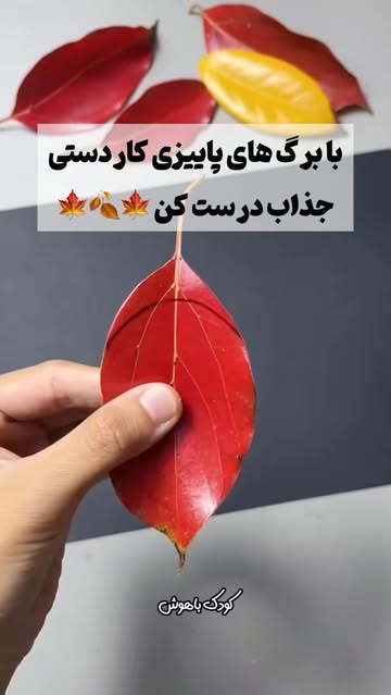 پست اینستاگرام Dc6RWPEIZyn