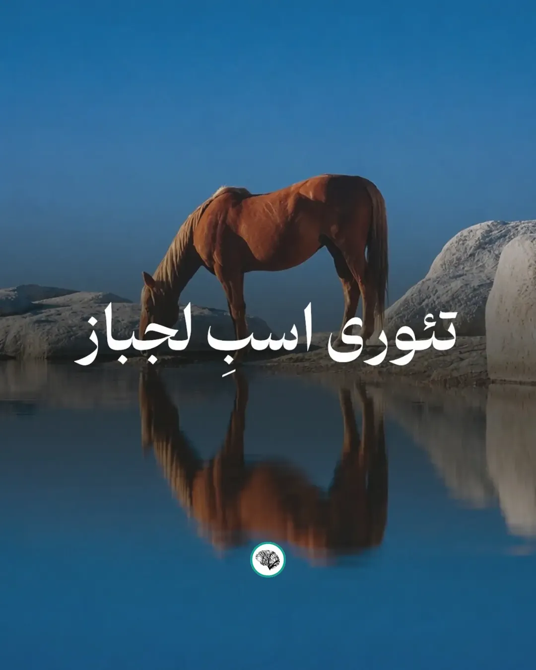 پست اینستاگرام Dc6rfOUoznc