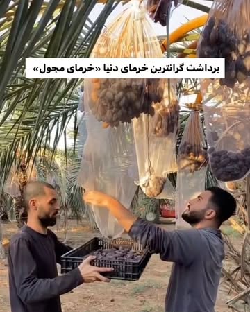پست اینستاگرام DcA0EfUjFEa