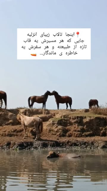 پست اینستاگرام DcA7DmqsWlZ