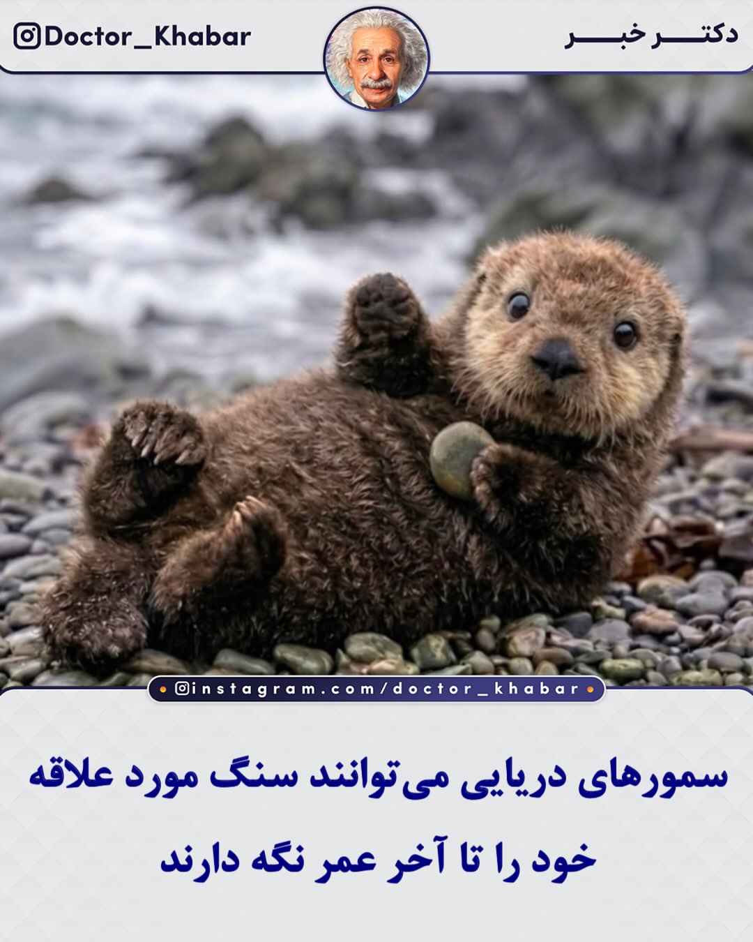 پست اینستاگرام DcA8jH1F2gC