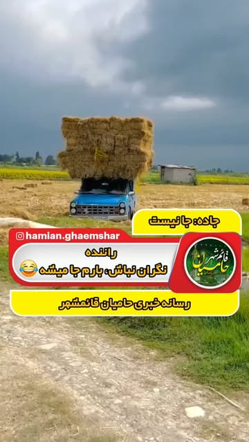 پست اینستاگرام DcAs8c3u58m