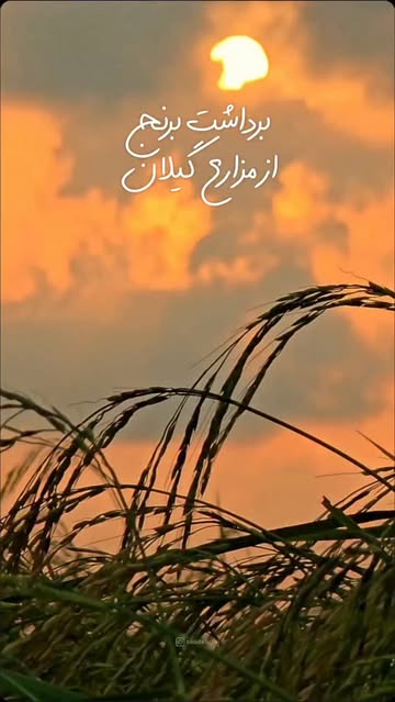 پست اینستاگرام DcB2L_mAvoa