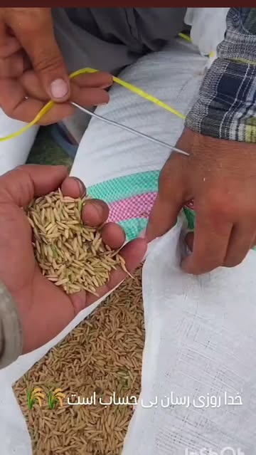 پست اینستاگرام DcB2cyMORaV