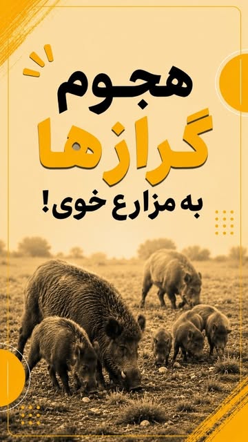 پست اینستاگرام DcB2so9IC2B