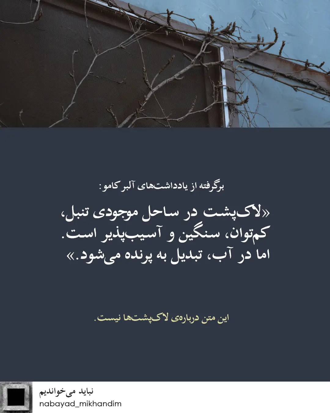 پست اینستاگرام DcB7eu-ikhn