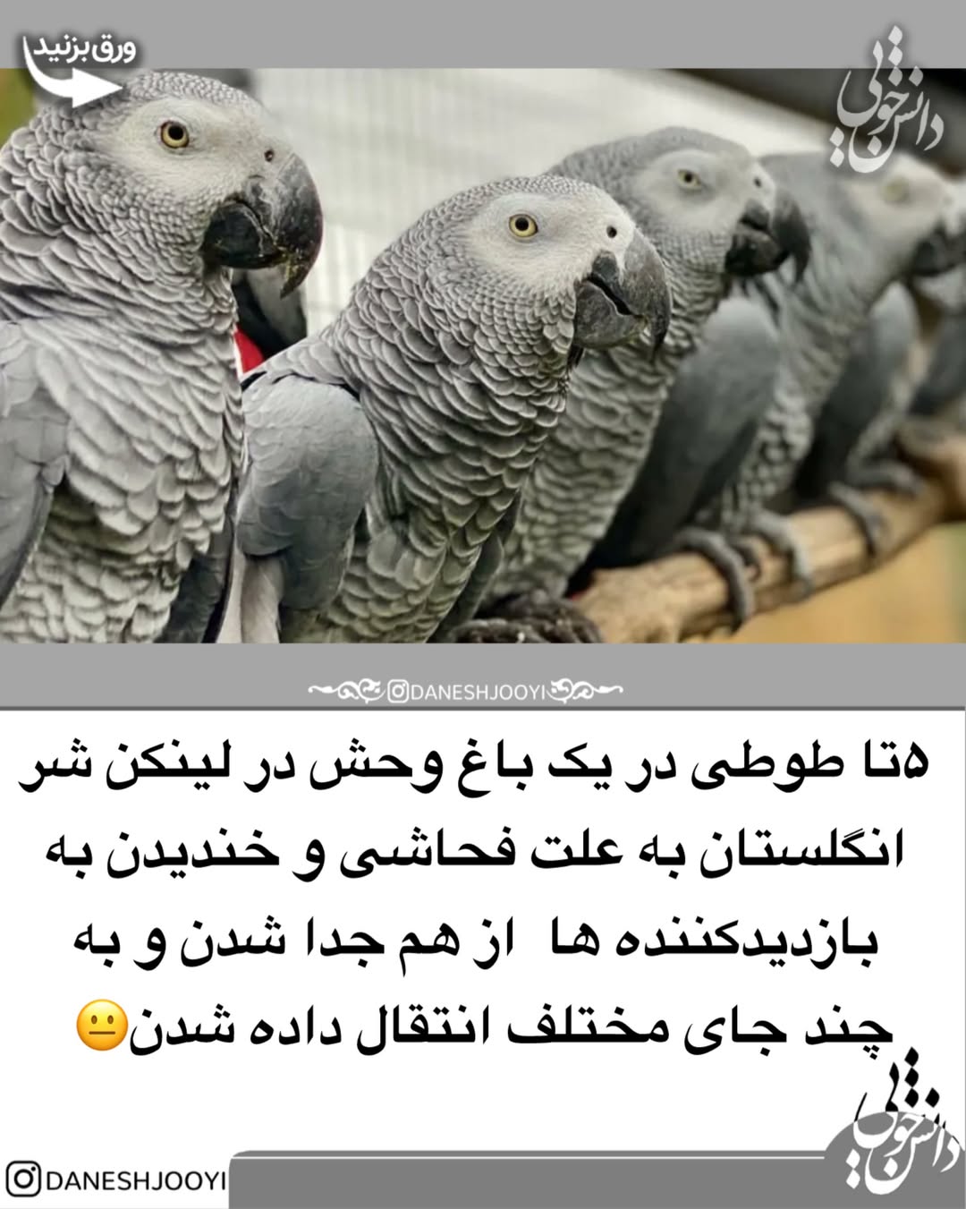 پست اینستاگرام DcBkceBtMwc