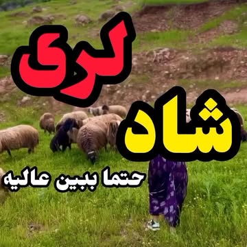 پست اینستاگرام DcBs7ZHEZDf