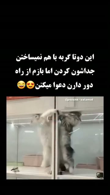 پست اینستاگرام DcBw7n3Mi4Q
