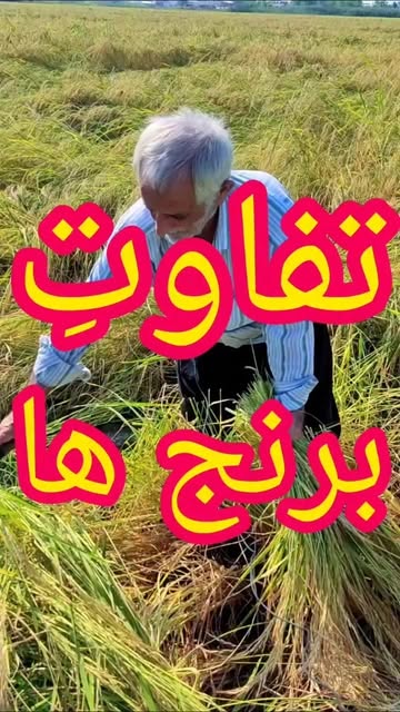 پست اینستاگرام DcBzgrGN6Z_