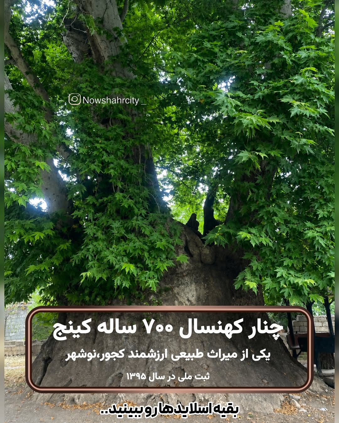 پست اینستاگرام DcCHk5fjkf-