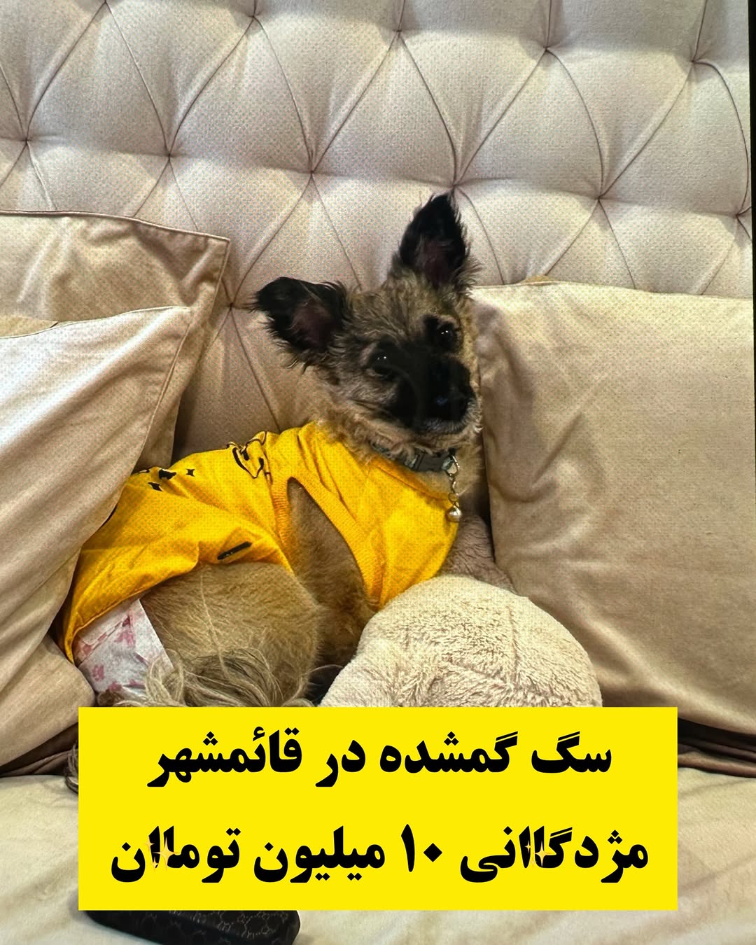 پست اینستاگرام DcCRzgTCnB6