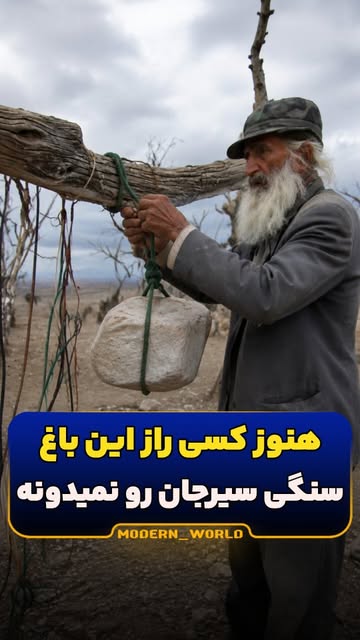 پست اینستاگرام DcDL6O_sh7c