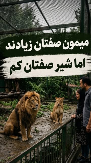 پست اینستاگرام DcDfkdxM5-W