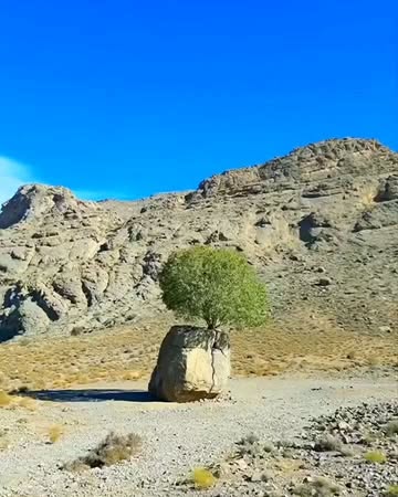 پست اینستاگرام DcDgIfzDH4O