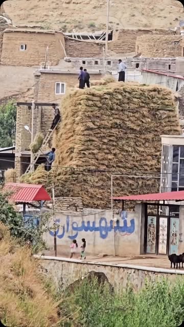 پست اینستاگرام DcDkOcsta3P