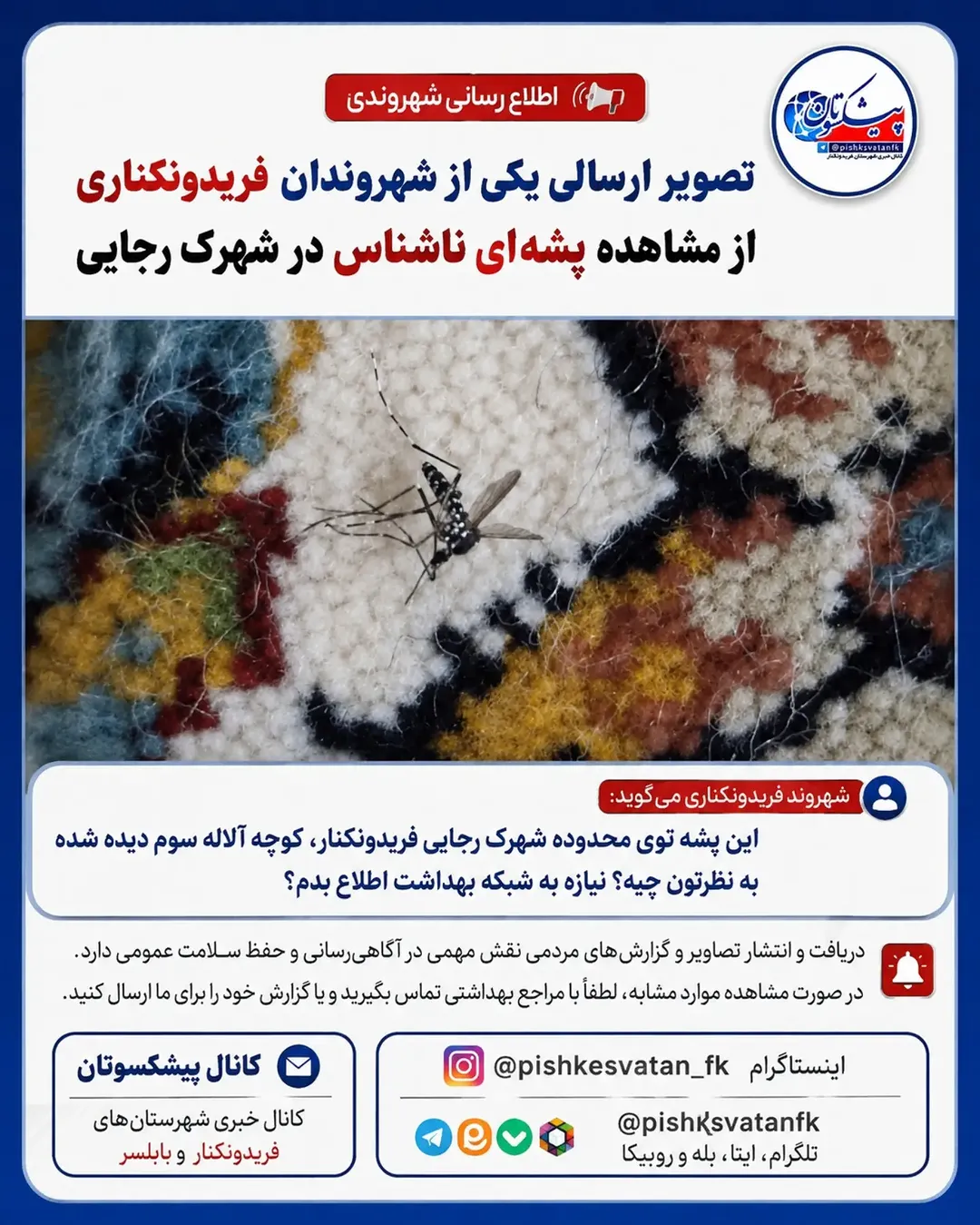 پست اینستاگرام DcDlZT7oObf