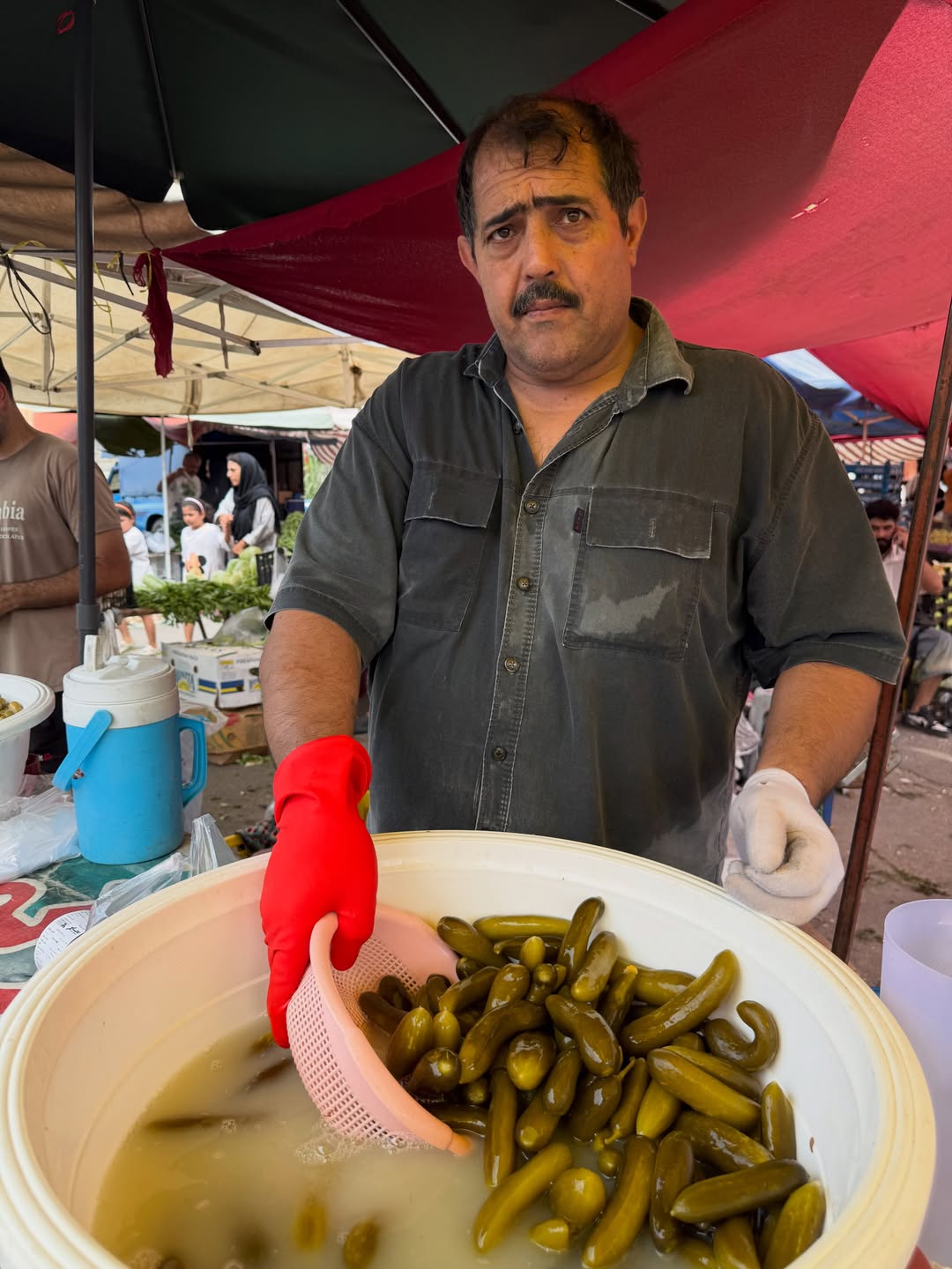 پست اینستاگرام DcDp1U1iO-p