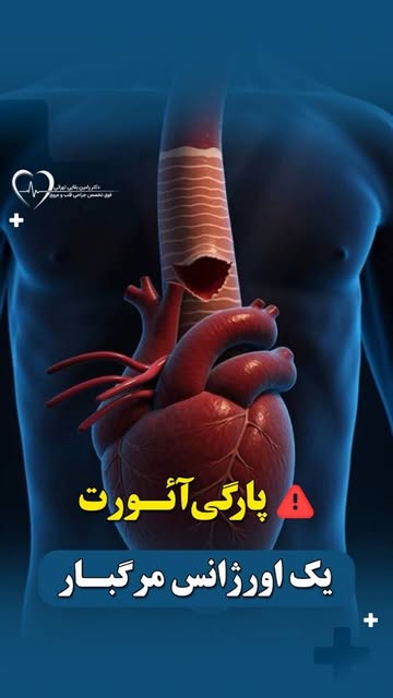 پست اینستاگرام DcEG4t6owU4