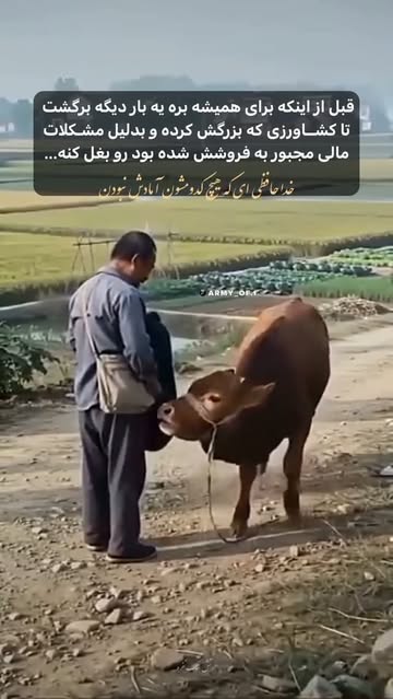 پست اینستاگرام DcEG7SYiGlF