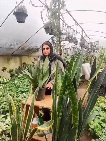 پست اینستاگرام DcEJDUQDWzL