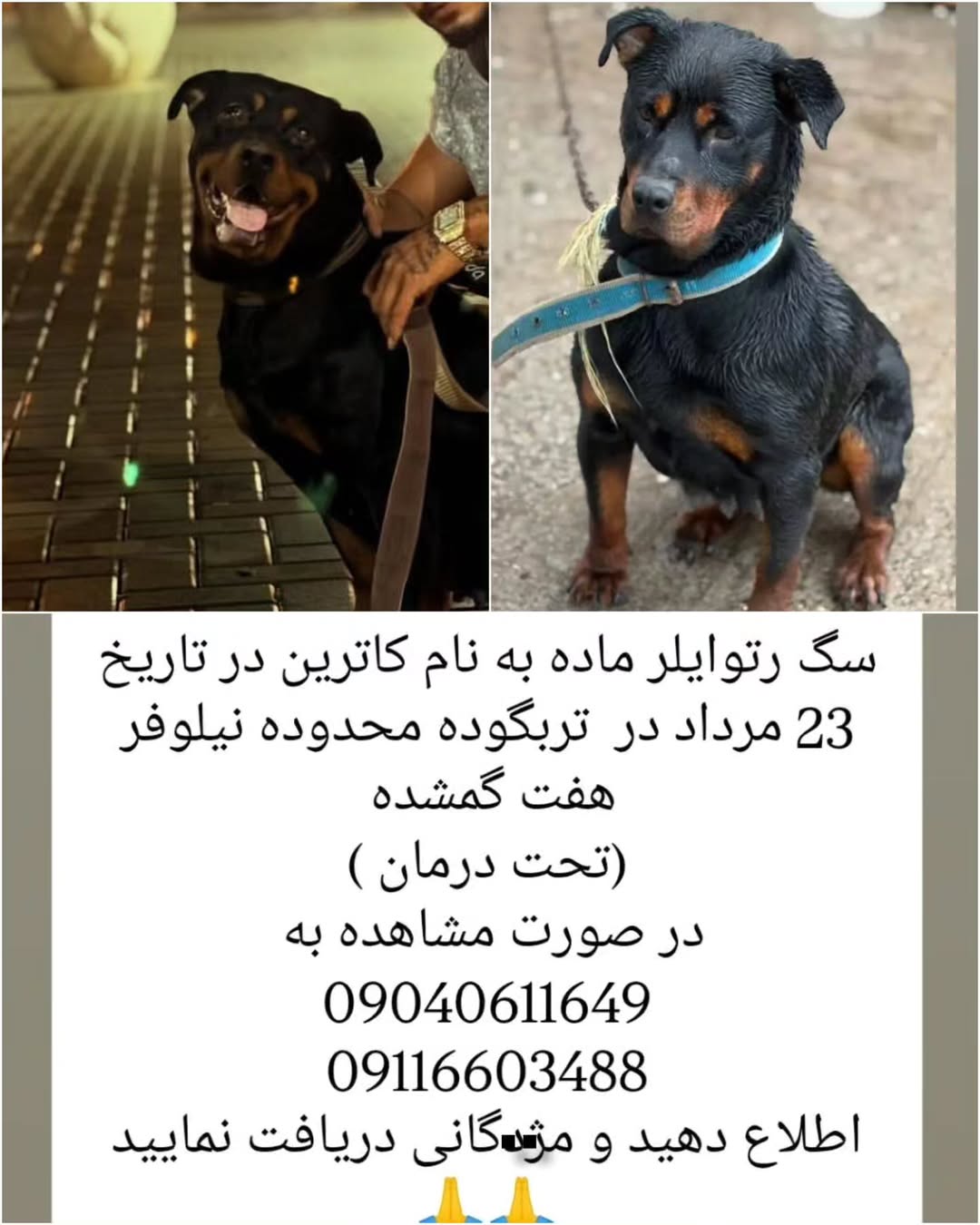 پست اینستاگرام DcEU_mDq5vd