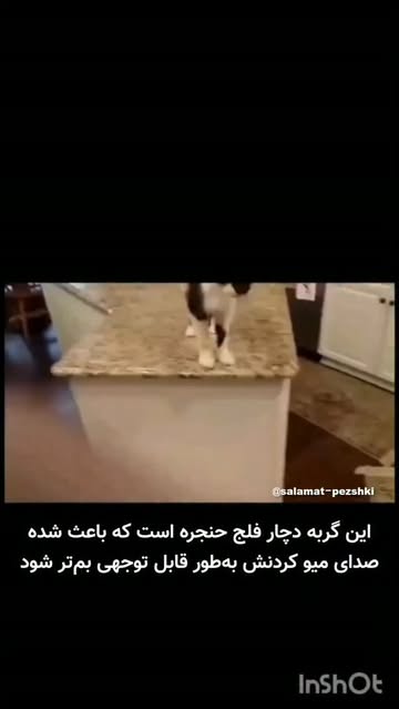 پست اینستاگرام DcEcy2TsbLH