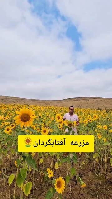 پست اینستاگرام DcEdilzqaA1