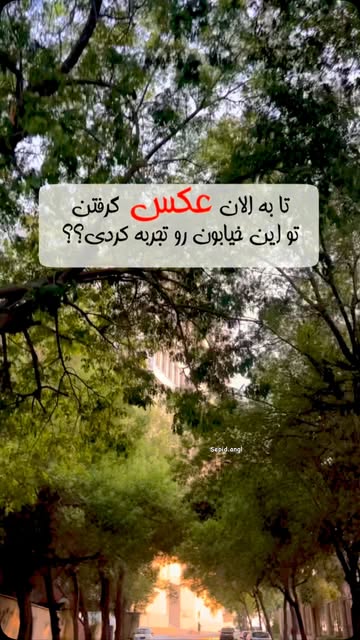 پست اینستاگرام DcEfhtztpla