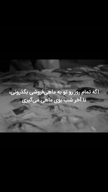 پست اینستاگرام DcEiu_kuOXZ