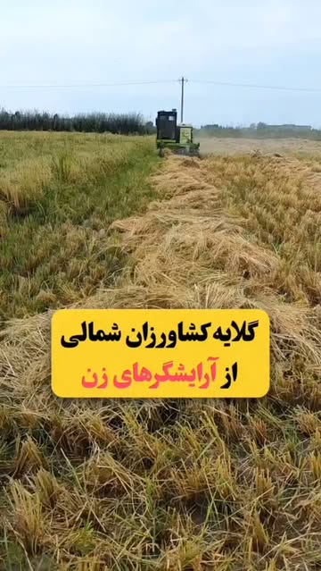پست اینستاگرام DcFty4BMMvz