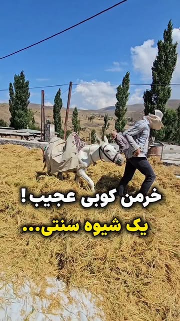 پست اینستاگرام DcFwznDNEnD