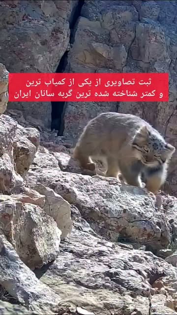 پست اینستاگرام DcFxMkNteUT