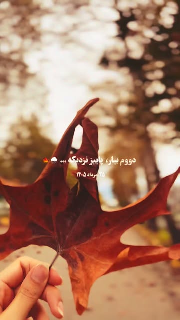 پست اینستاگرام DcGAjfRqNtD