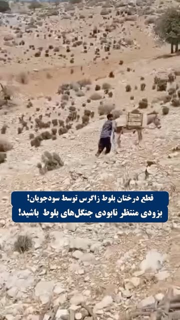 پست اینستاگرام DcGCHVLuXoR