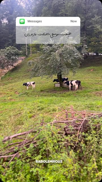 پست اینستاگرام DcGKOo_MwHj