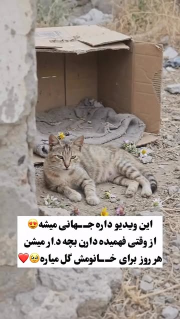 پست اینستاگرام DcGNEM4KcS6