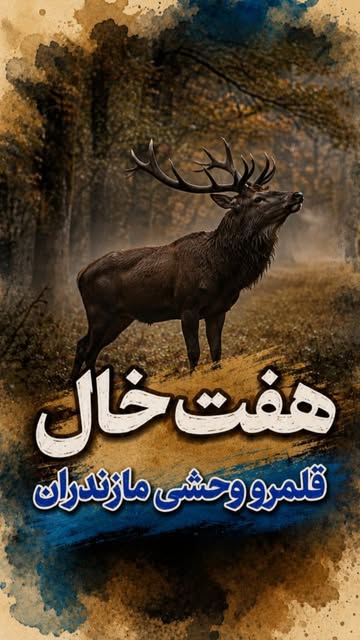 پست اینستاگرام DcGVTzZMCkj