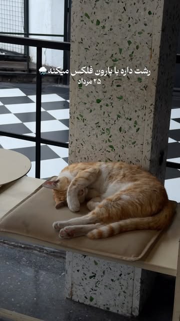 پست اینستاگرام DcGZ2fJicrn