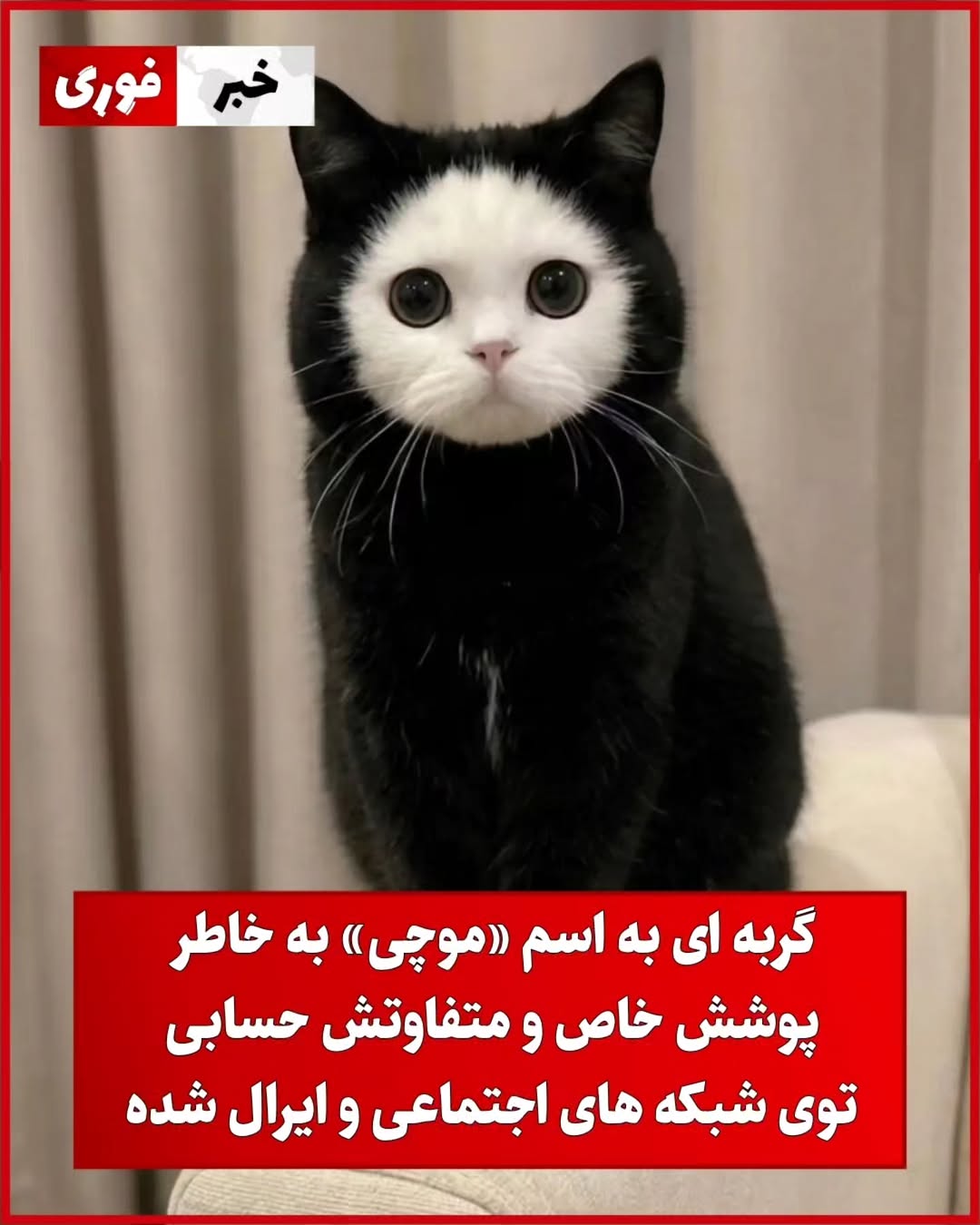 پست اینستاگرام DcGby9ZDkGu