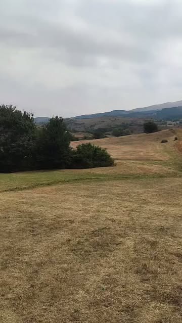 پست اینستاگرام DcGeVYhRaVO