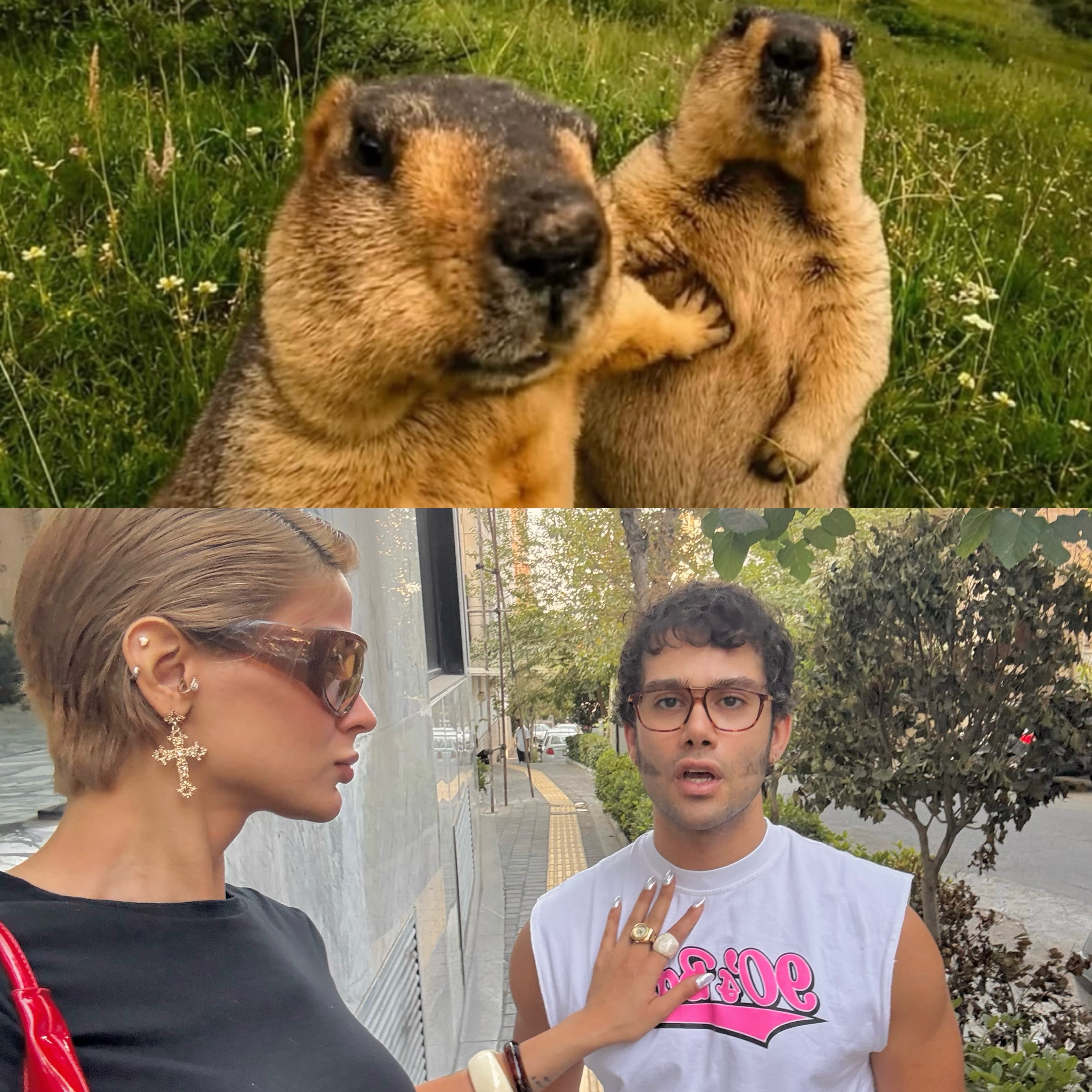 پست اینستاگرام DcGj1dsDNTQ