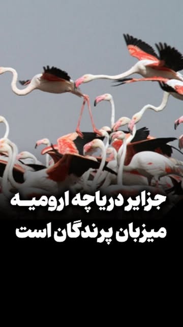 پست اینستاگرام DcGsmdWRvlg