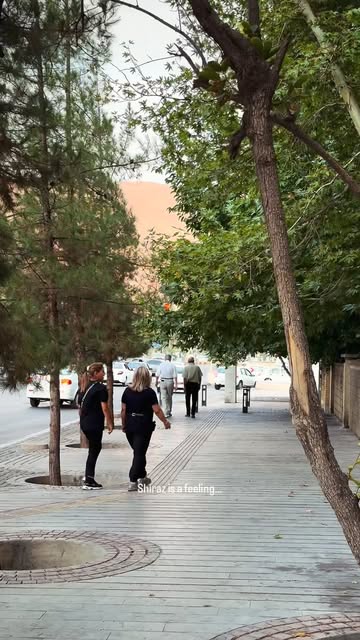 پست اینستاگرام DcGycQLsZfK