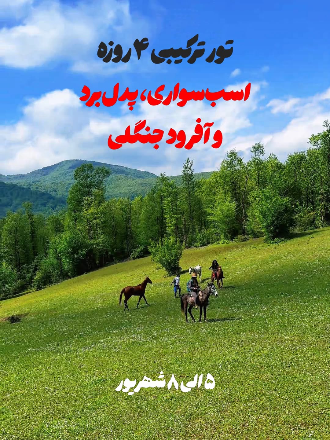 پست اینستاگرام DcHF9MKiOg1