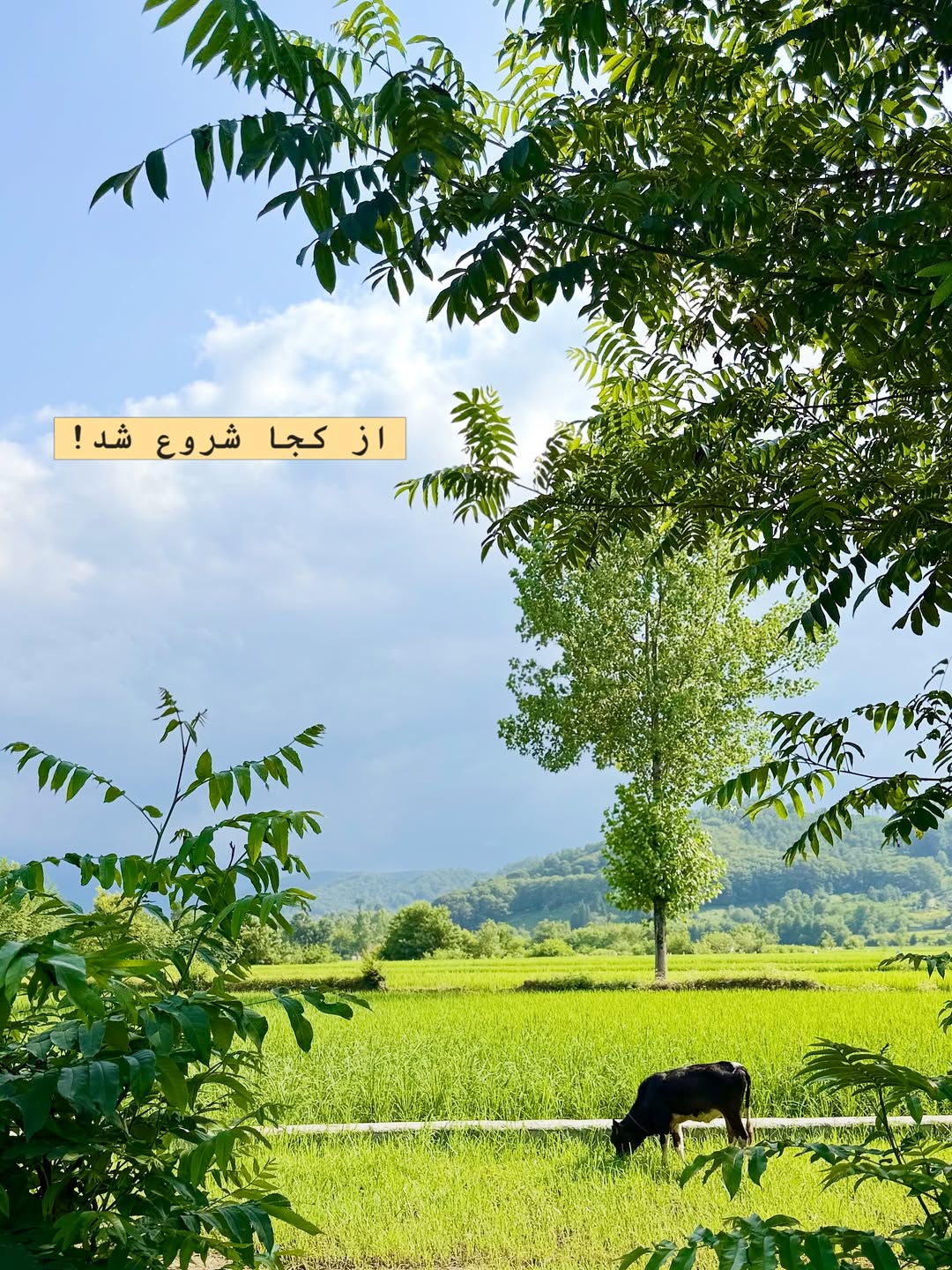 پست اینستاگرام DcHHsIuAiGe