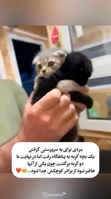 پست اینستاگرام DcHU7y0oQfI