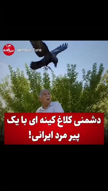 پست اینستاگرام DcHaWgFuVjy
